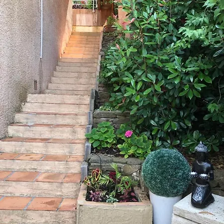 Zen Sur La Colline Aux Mimosas Apartment Hyeres